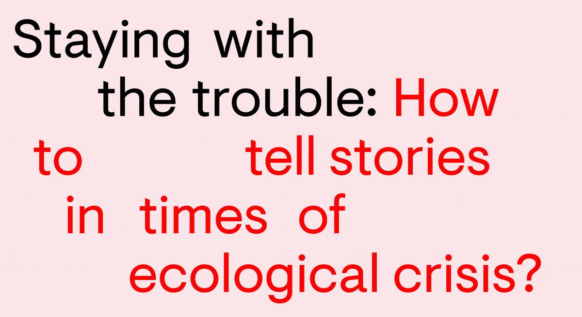 Staying with the Trouble: How to Tell Stories in the Time of Ecological Crisis?